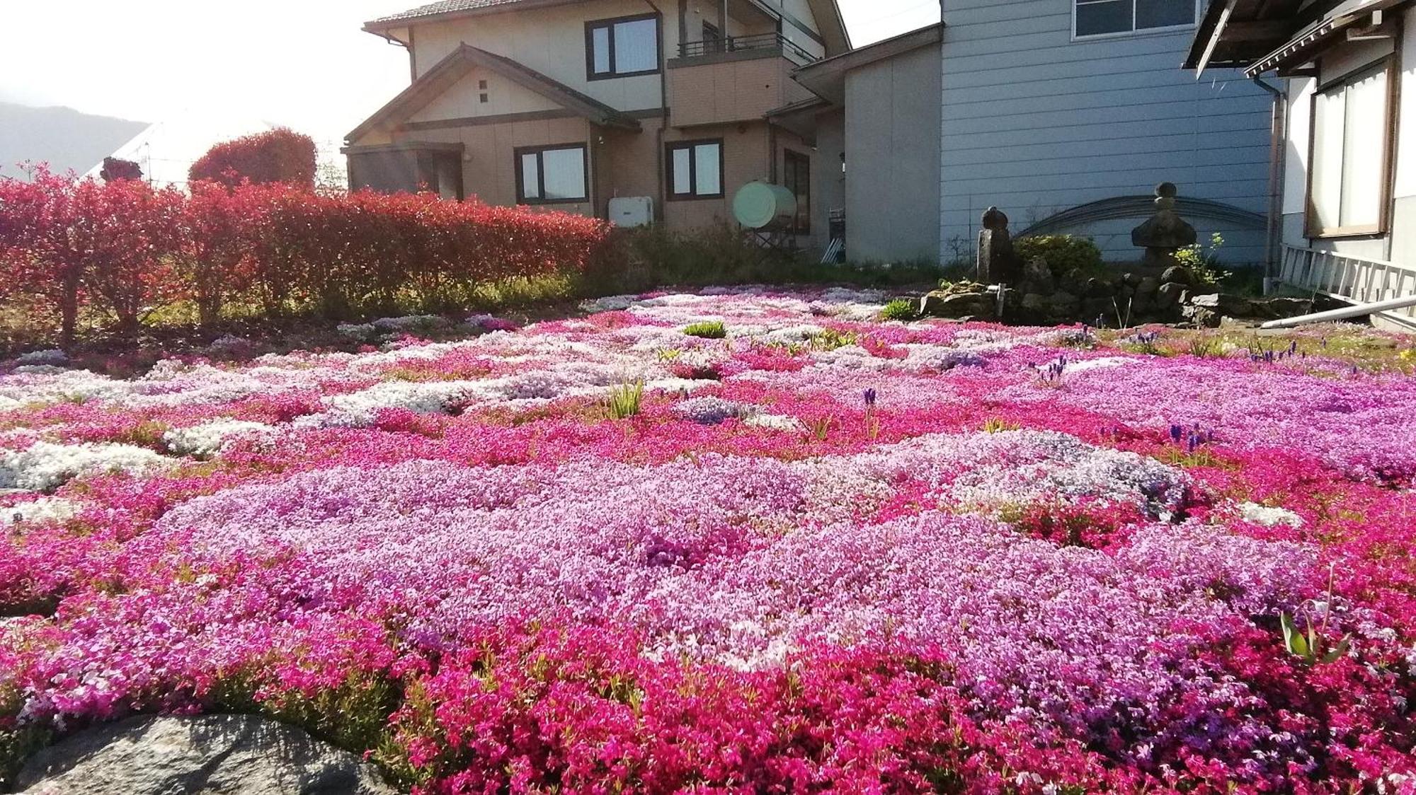Guest House Honami-Kaido Yamanouchi  Zewnętrze zdjęcie